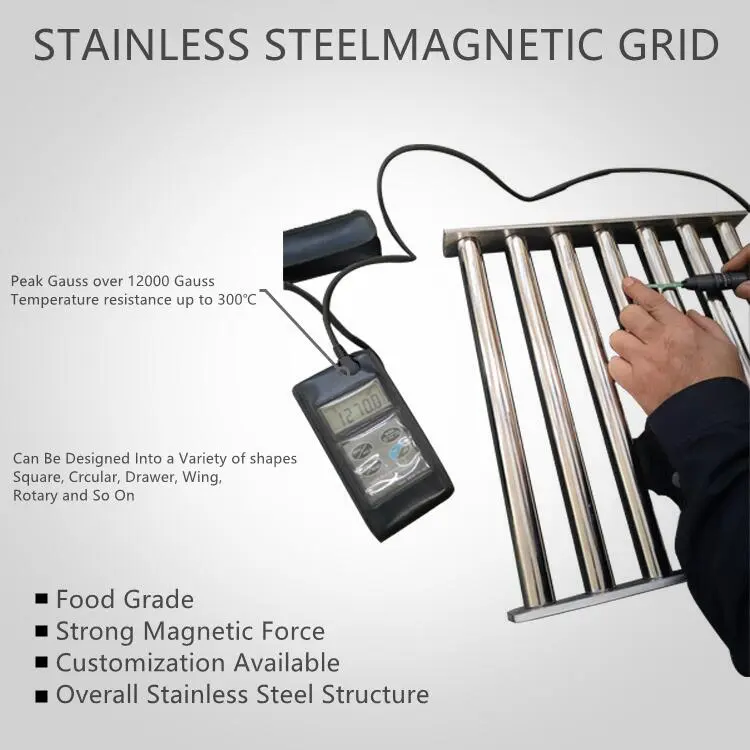 magnetsic grid-1